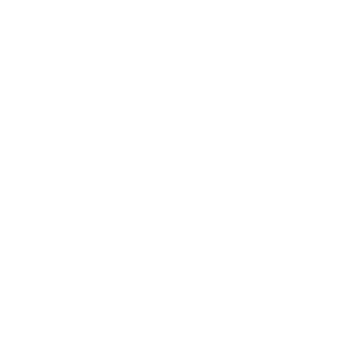 Institut IMOR